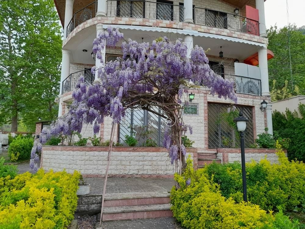 ویلا حسینی