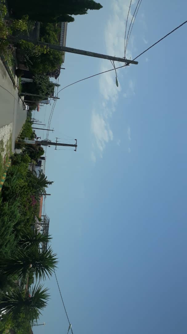 استخردار آرشا