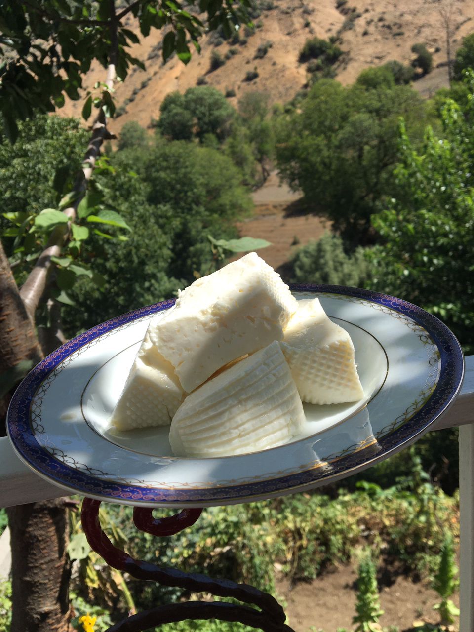 اقامتگاه رمه دار