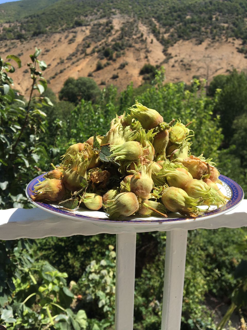 اقامتگاه رمه دار