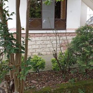 امیر الملوک