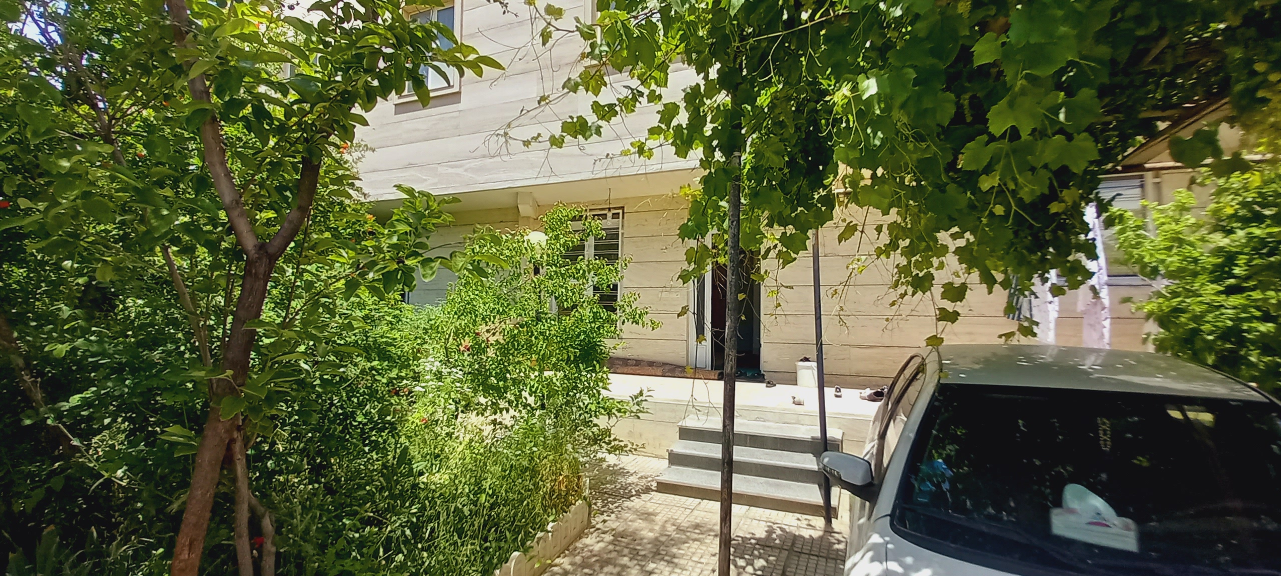 یاس شیراز