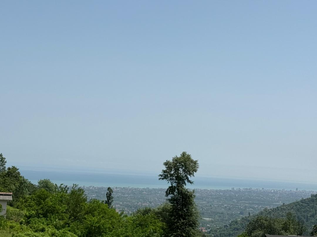 گلستان