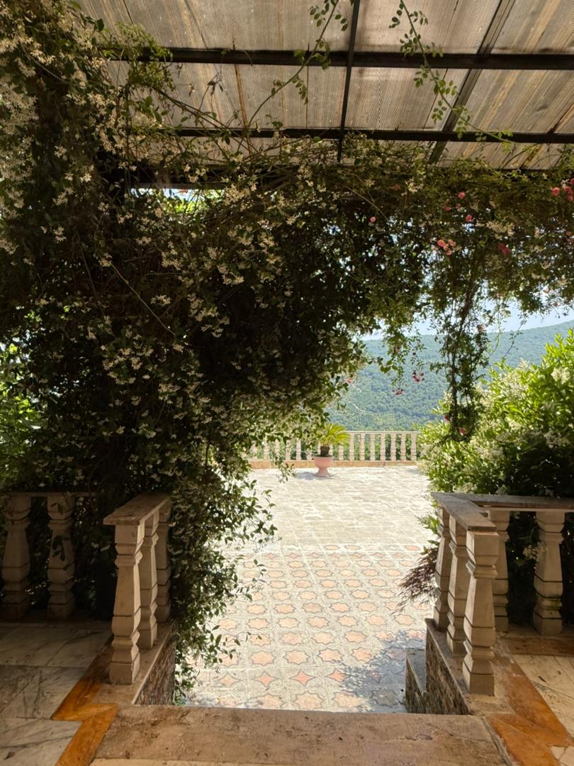 گلستان