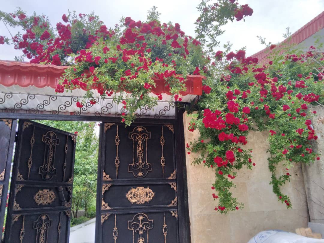 کلبه جنگلی افراچال ساری