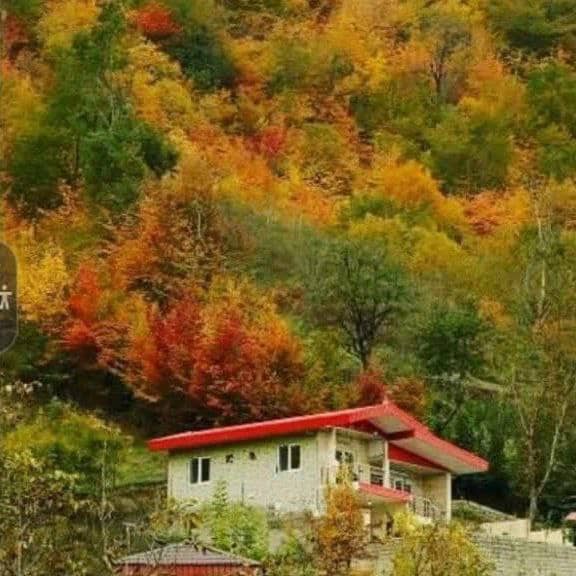 کلبه جنگلی افراچال ساری