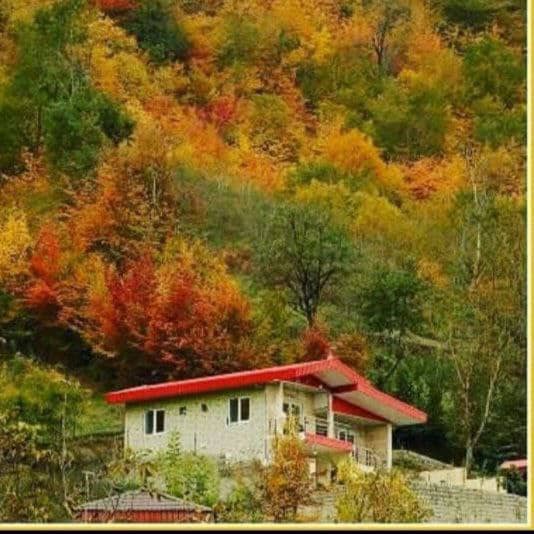 کلبه جنگلی افراچال ساری