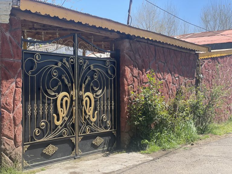 بید مجنون