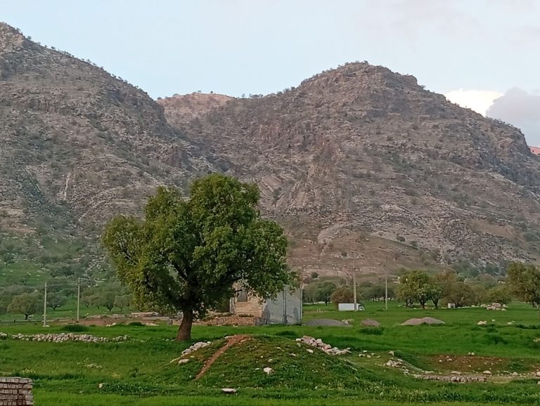 کارون