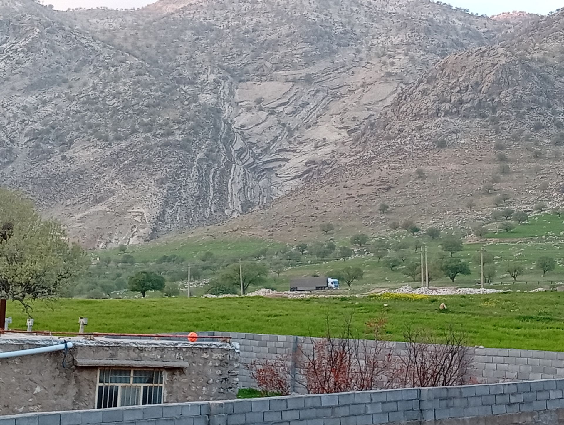 کارون