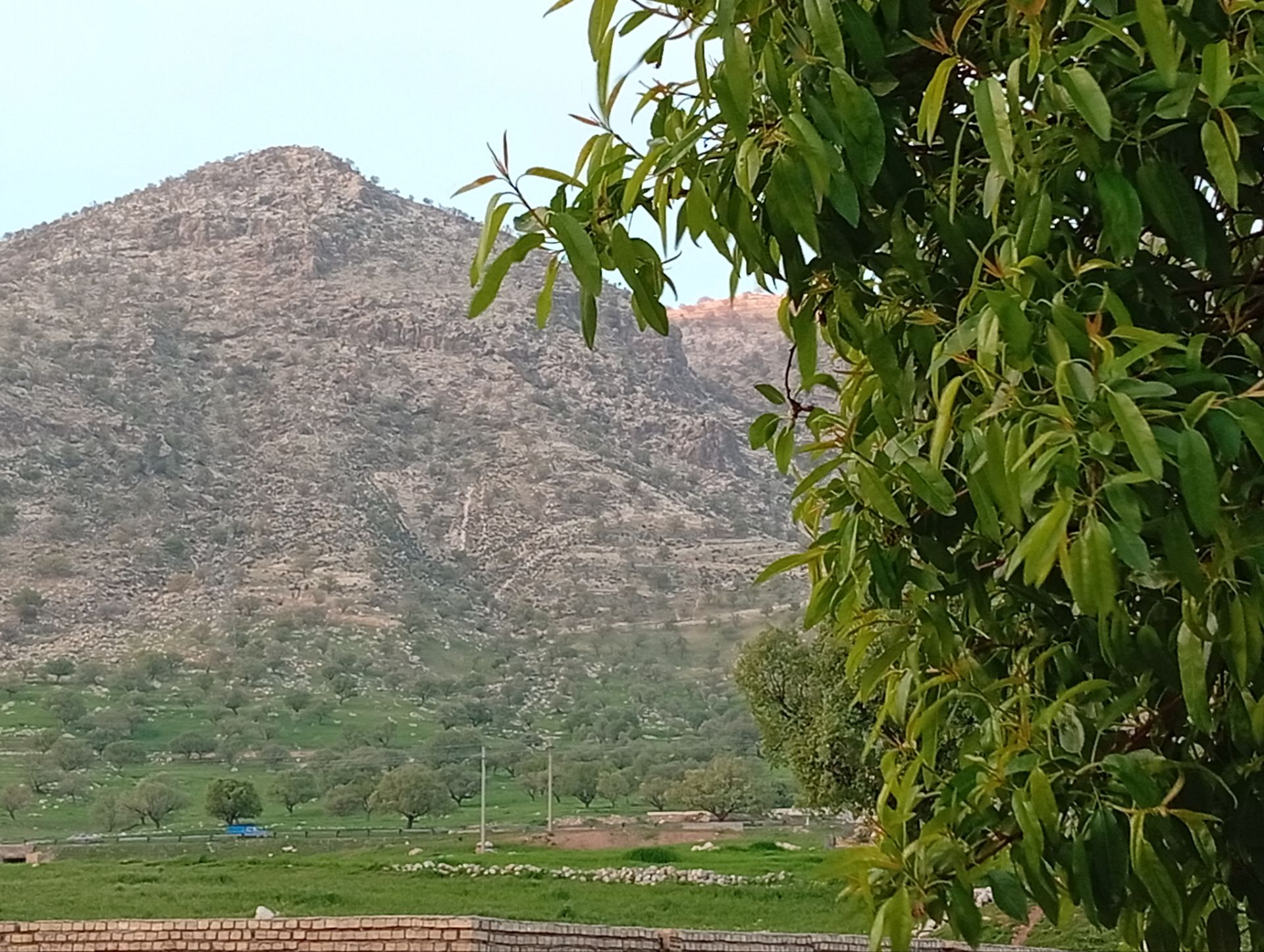 کارون