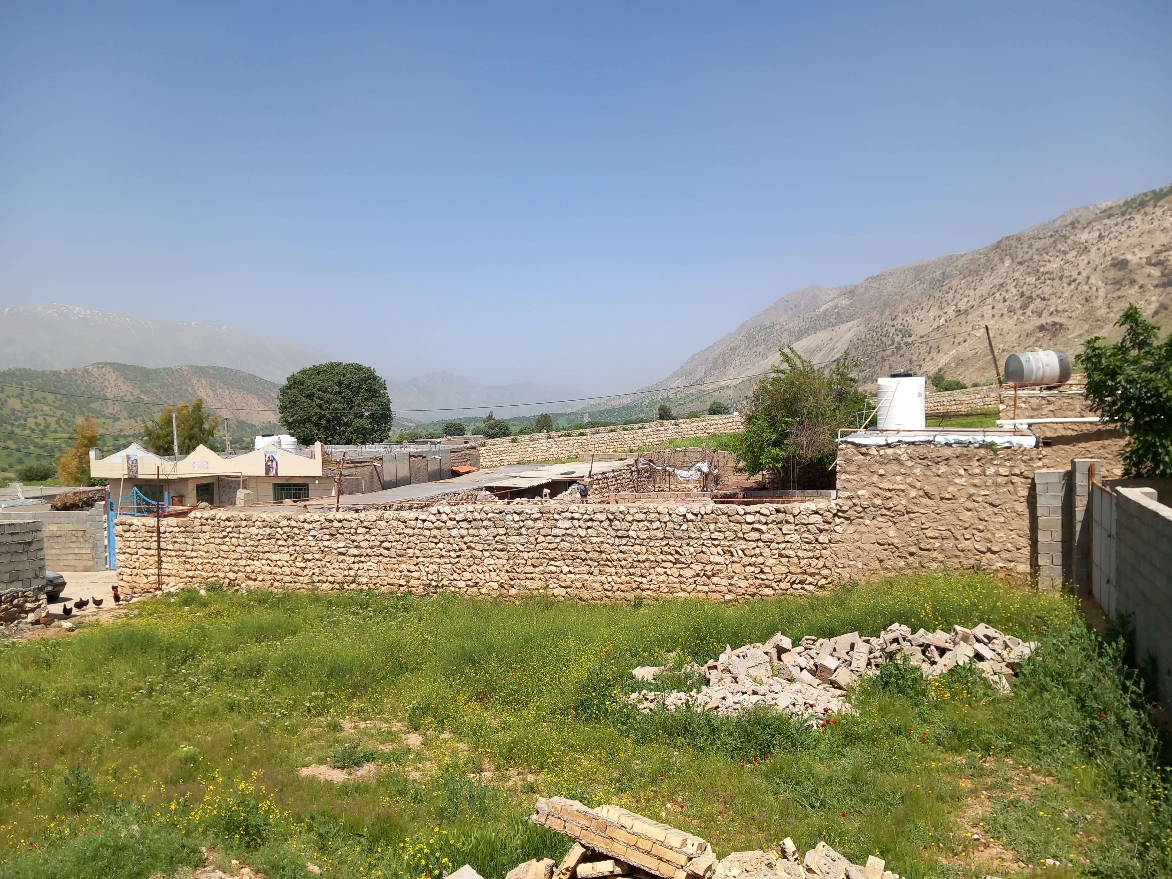 کارون