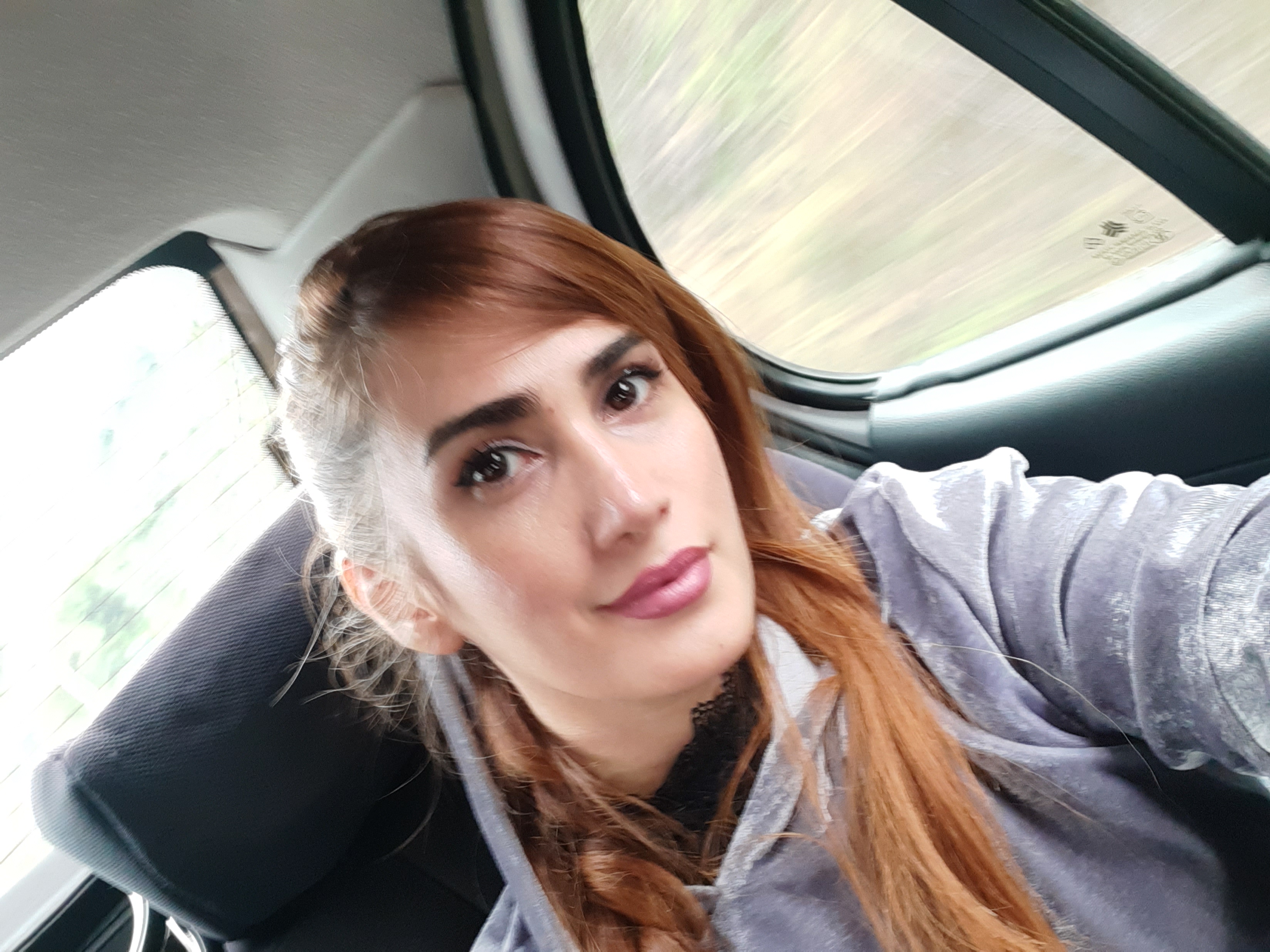 کلبه سوئدی دریم