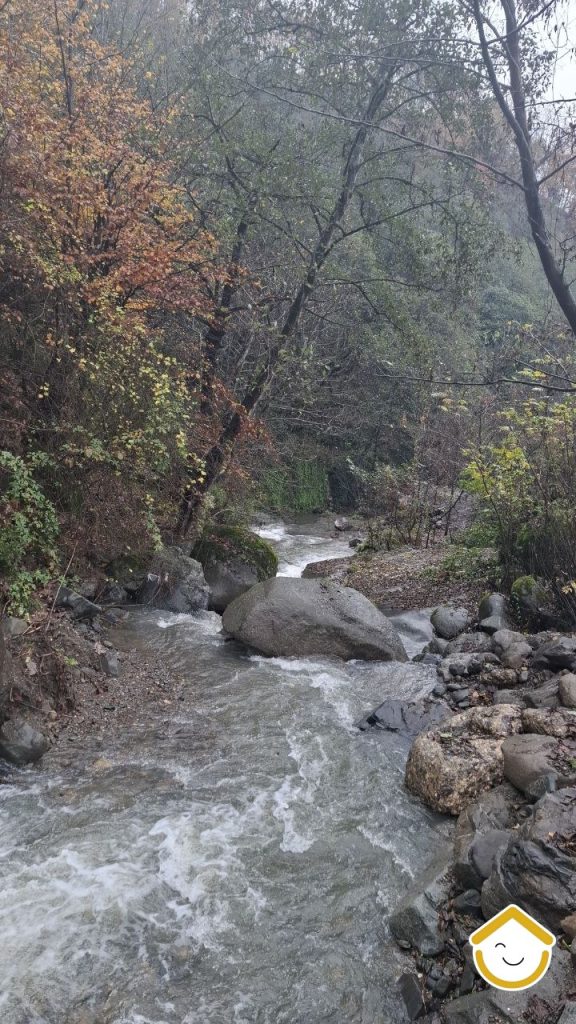 کلبه جنگلی باغ صفارود جاده جواهرده