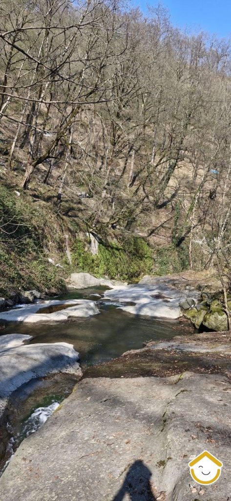 کلبه جنگلی باغ صفارود جاده جواهرده
